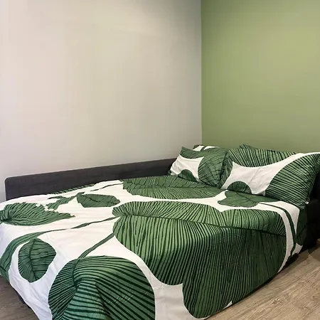 Vatican R-home 公寓 罗马